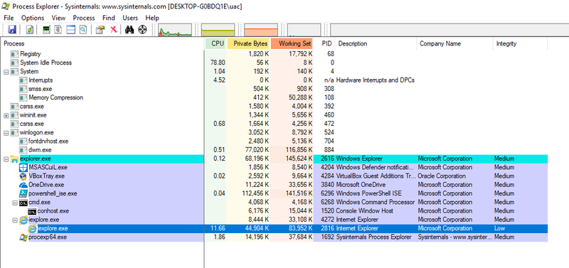 Low_Integrity_IE_Process